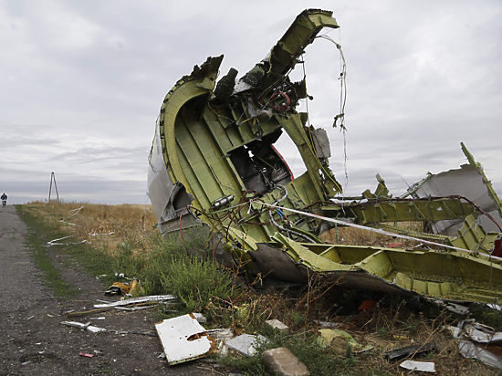 Уголовное расследование по MH17 кто и как ищет виновных