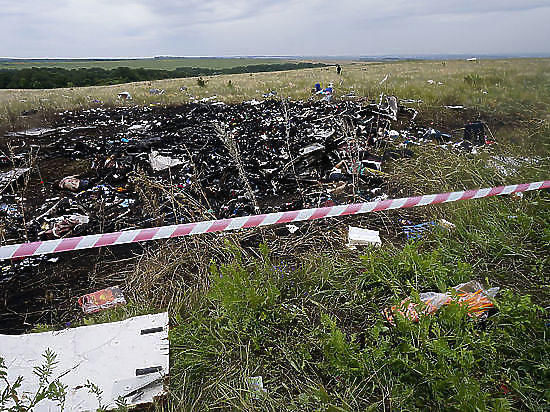Голландия расскажет летом, откуда сбили MH17