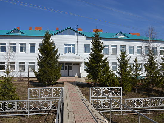 Задержаны воры, грабившие сельсоветы в Татарстане