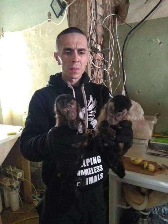 В Подмосковье зоозащитники обнаружили склад с замороженными обезьянами