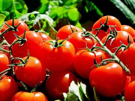 Москва заплатит за турецкие помидоры природным газом