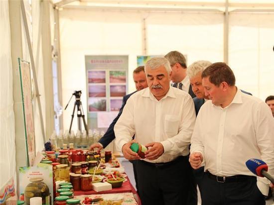 Волгоградских аграриев предлагают объединить в кооперации