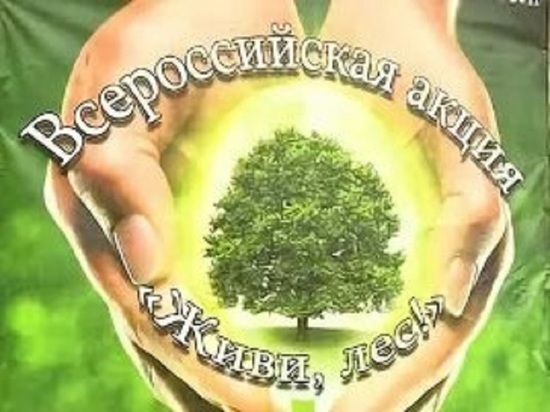 Более 3 тысяч деревьев высадят в Губернском парке Калуги