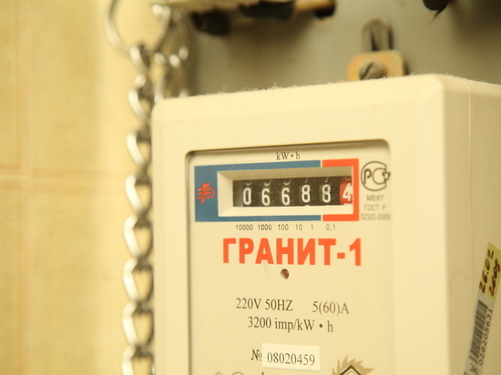 Домоуправляющие компании Нижегородской области задолжали 80 миллионов рублей за электроэнергию
