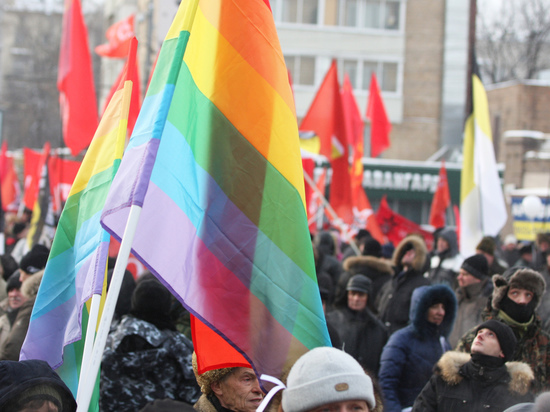 В Совфеде пообещали поддержать уголовное наказание за гей-пропаганду