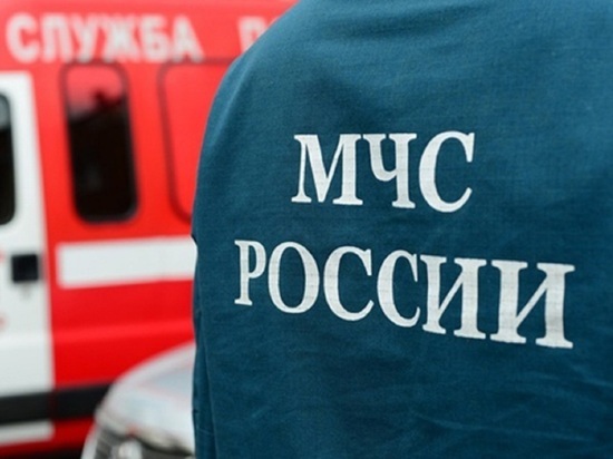 В Ярославской области столкнулись туристический автобус и грузовик, есть пострадавшие