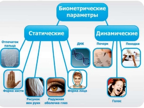 Зачем ярославские банки будут собирать биометрические данные клиентов 