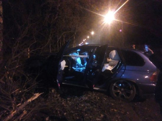 В Барнауле водитель BMW врезался в дерево и скрылся с места ДТП