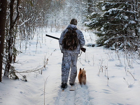 В лесах Костромской области ловят браконьеров