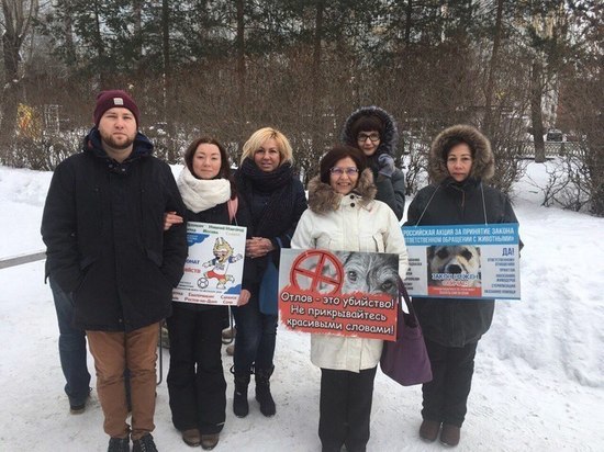 В субботу В Архангельске прошёл митинг в защиту животных
