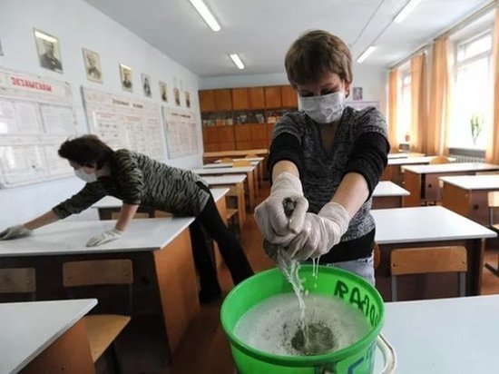 Обработку от вирусов проведут во всех школах Костромской области