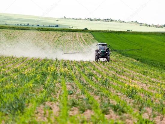 Костромские аграрии получили более 56 миллионов рублей на растениеводство 