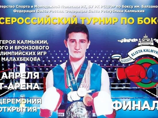 В Элисте  состоится всероссийский турнир по боксу на призы Героя Калмыкии
