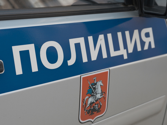 СМИ: 15-летний игроман жестоко убил студентку в Москве ради денег