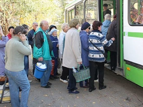 Ульяновские дачники подрались в автобусе 