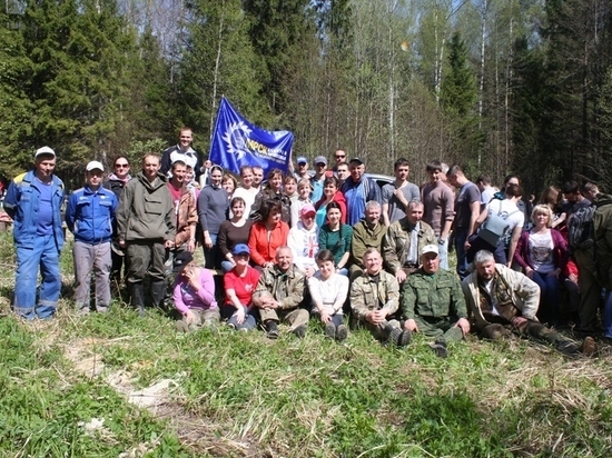 Сотрудники «Ивэнерго» оказали помощь в восстановлении лесов Ивановской области