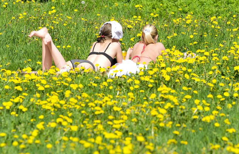 Молодые студентки красуются голыми сиськами во время академического отпуска