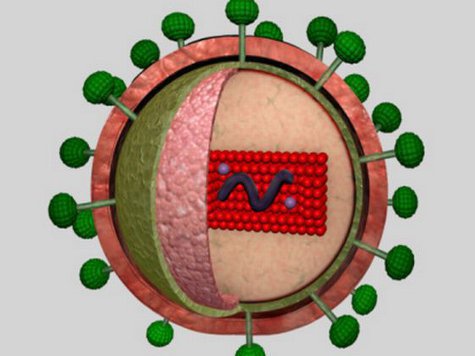  : http://www.timeslive.co.za/incoming/2011/08/15/hiv-aids-virus-rendering.jpg/ALTERNATES/crop_630x400/hiv+aids+virus+rendering.jpg 