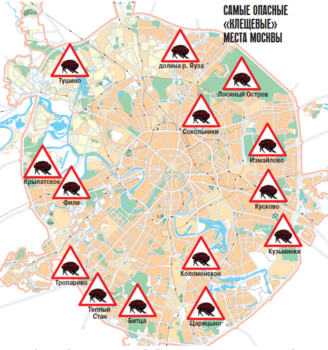 Карта с клещами московская область