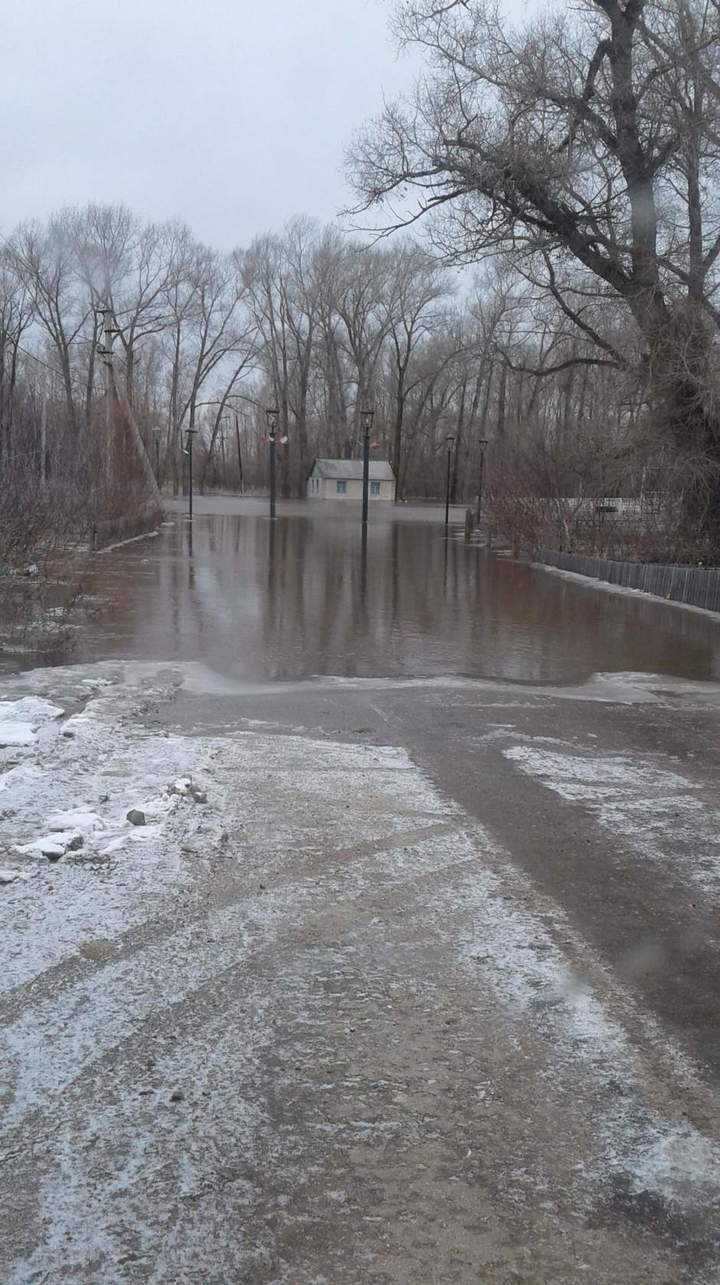 Село Староалейское в Алтайском крае топят талые воды (фото) - МК Барнаул