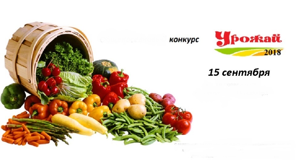 Купить Овощи На Куфаре В Гомеле