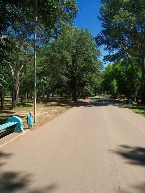 Роща оренбург. Парк Зауральная роща. Зауральская роща Оренбург. Парк Зауральская роща в Оренбурге. Зауральная роща Оренбург в1987.