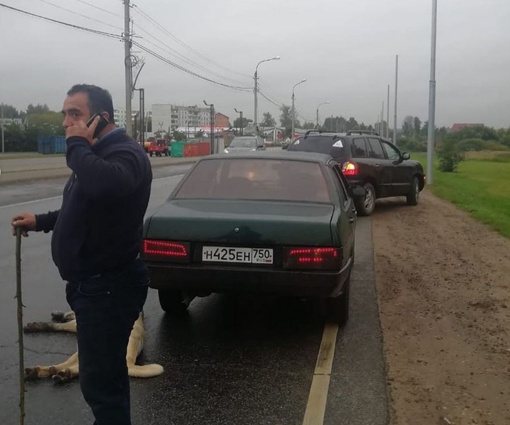 Водитель волоком протащил голую жену по дороге в Волгоградской области // Новости НТВ