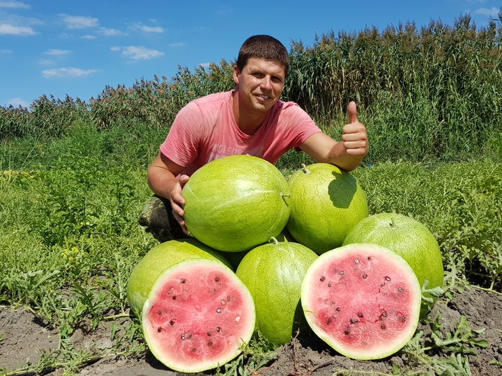 Карта сайта