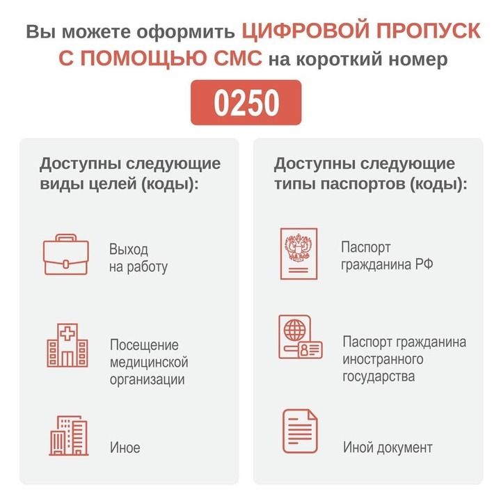 Как оформить электронный пропуск в Красноярске - 17 апреля - НГСру