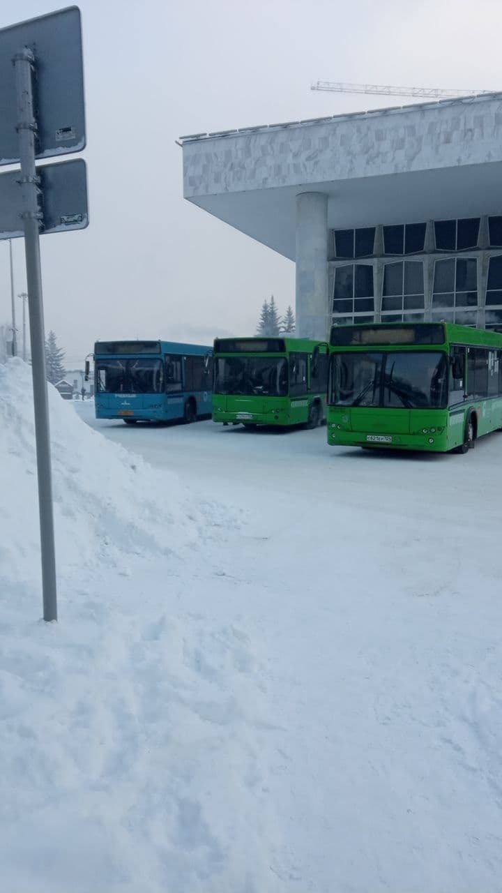 Новое шествие в поддержку Навального в Красноярске: онлайн-трансляция - МК  Красноярск