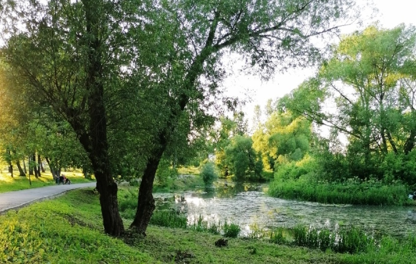 Баташевский Сад Тула Купить