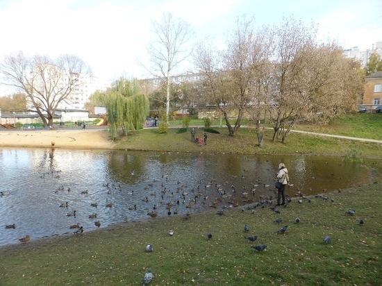 Пуховский пруд в калуге фото