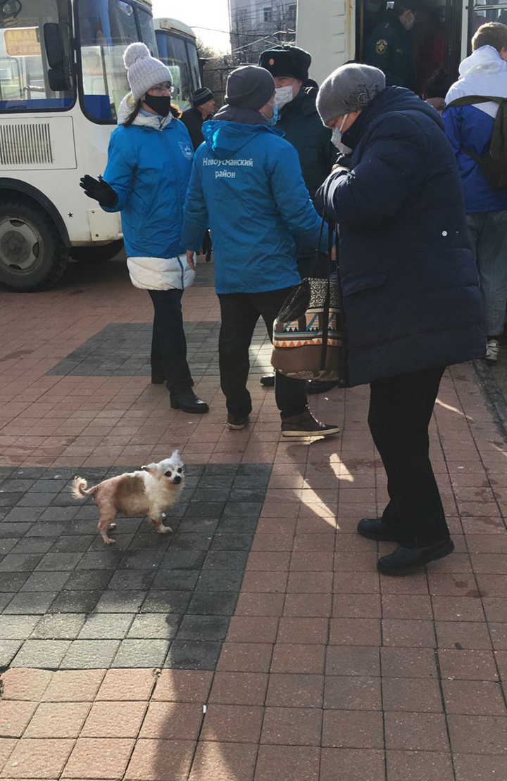 В гостях хорошо, а дома лучше: Беженцы с Донбасса признались, что хотят  вернуться домой - МК Воронеж