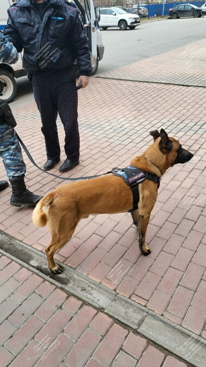 Полиции пришлось обойти здание Выборгского районного суда из-за сообщений  от лжеминеров - МК Санкт-Петербург