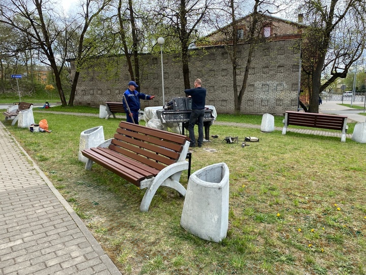 Раком на скамейке в парке