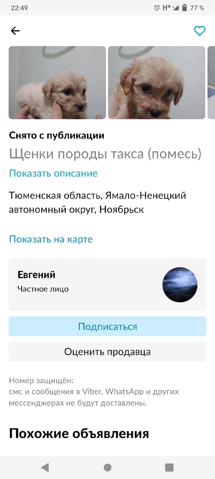 В Ноябрьске хозяин не сумел пристроить щенков с мамой-собакой и вышвырнул  на улицу - МК Ямал