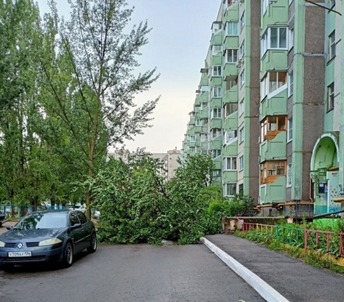 Ураган в Воронеже повалил деревья, оборвал провода, повредил автомобили