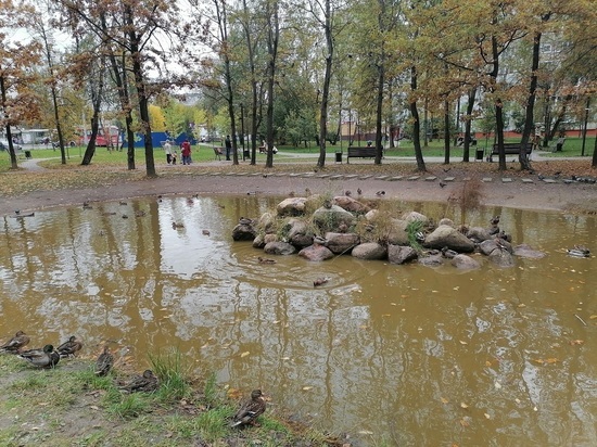 Пуховский пруд в калуге фото