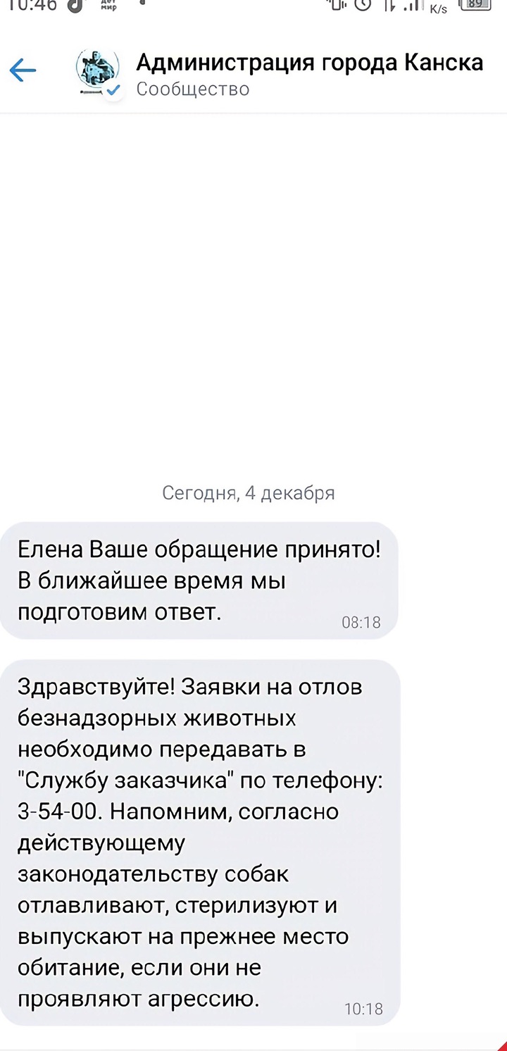 А нам, что делать? Как ходить на работу, в сад, да просто погулять?»:  жительницу Канска возмутила работа чиновников с отловом бездомных собак -  МК Красноярск