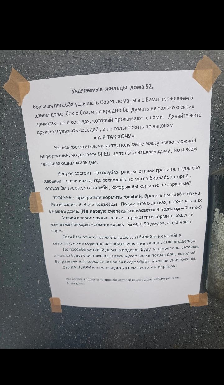 В Белгороде попросили жильцов дома не кормить голубей из-за «харьковских  биолабораторий» - МК Белгород