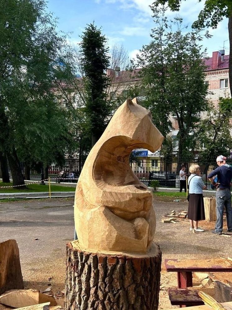 Парк толстого брянск фото сегодняшнего дня Брянская область - главные новости и последние события - страница 195