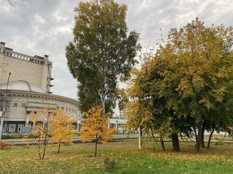 Осень В Новосибирске Фото