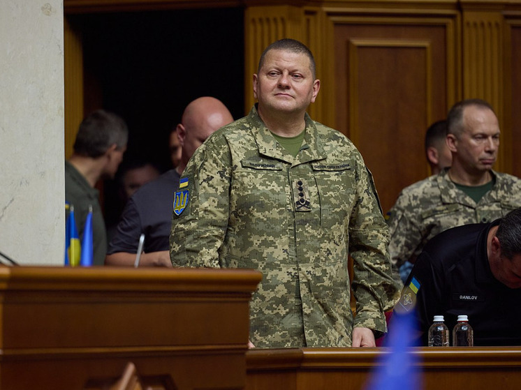 Залужный министр обороны Украины. Главнокомандующий ВСУ Валерий Залужный. Валерий Залужный, Главком Вооруженных сил Украины. Главнокомандующий войск Украины Залужный.