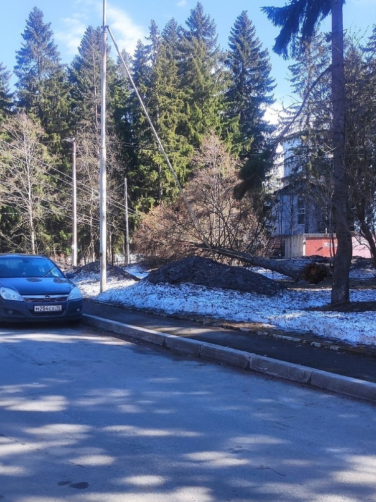 Лесоповал а петровка в шкафу в темноте