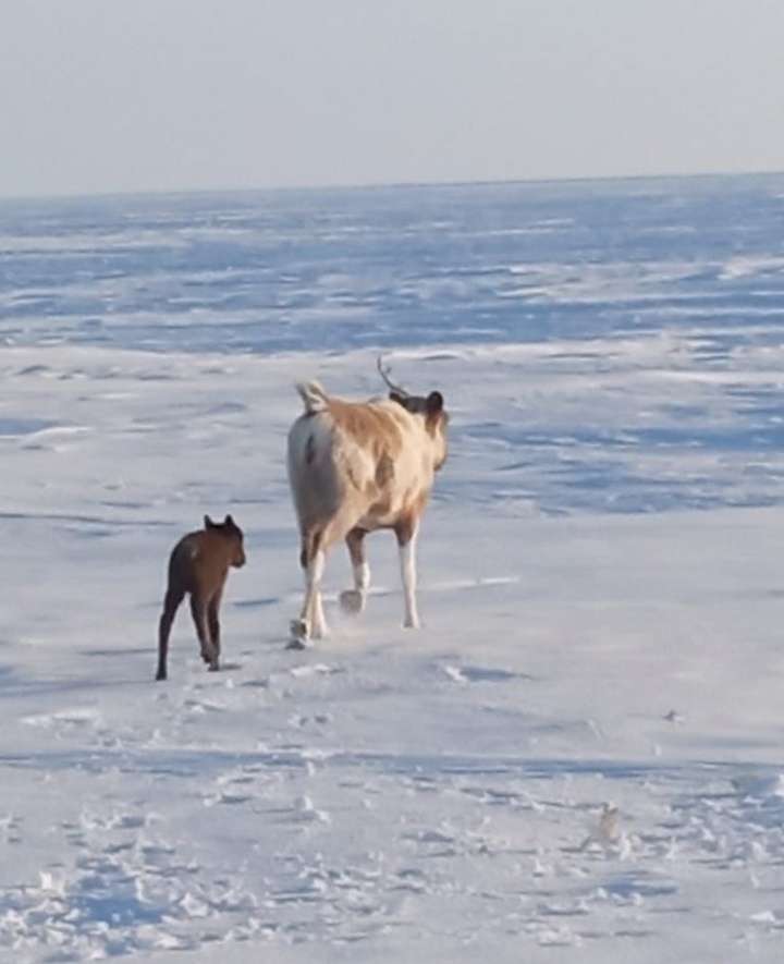 Порно + Секс