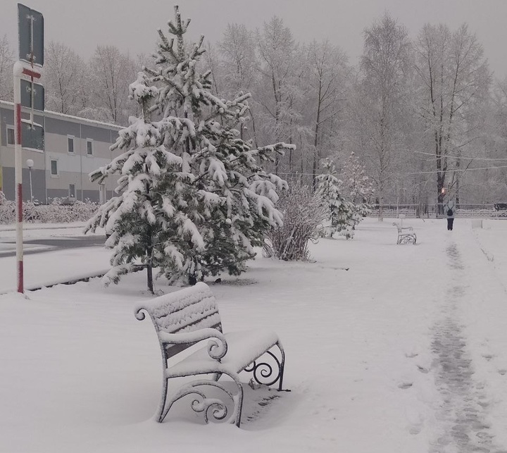 Секс знакомства в Strezhevoy Tomsk с фото - ezone-perm.ru